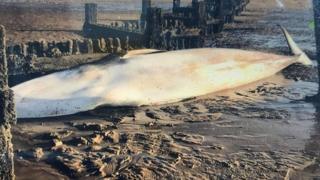 The 30ft (9m) whale, believed to be a minke, was found dead near Hunstanton.