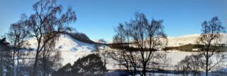 snowy landscape