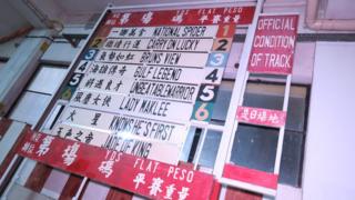 據信從上海運來的賽犬信息報告板(BBC中文圖片23/6/2018)