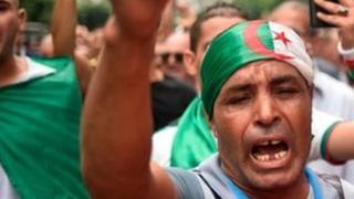 انتخابات الجزائر