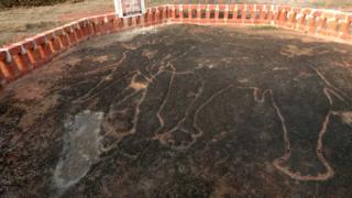 Petroglyph fish