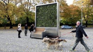 CityTree