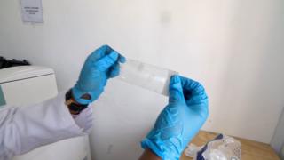 Baaritaanka DNA-ga