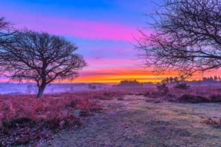 Multi-coloured Sunrise over fields