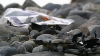 Пластиковый мусор на пляже