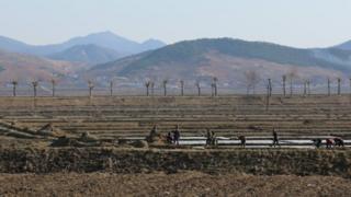 People work in bare fields in North Korea