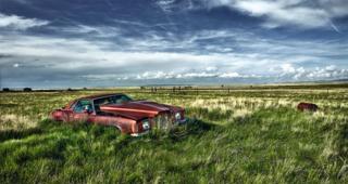 An abandoned car in an open field