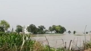 Flood
