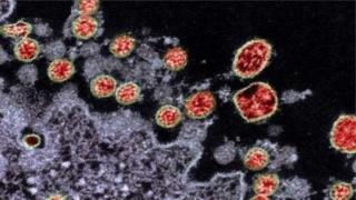 Cutar Coronavirus
