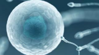 Sperm
