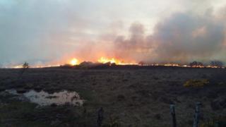 Wildfire on Sunday night