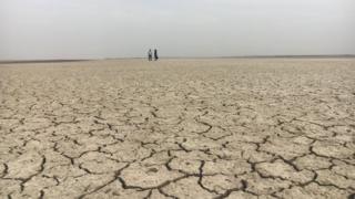 Campo seco em Gujarat