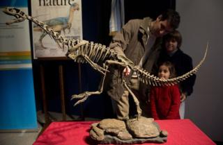 Chilesaurus