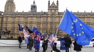 Демонстранты Brexit вне Вестминстера