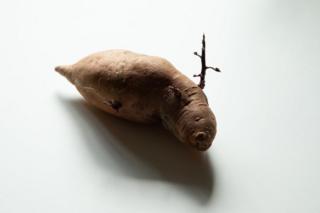 potato-that-looks-like-a-slug