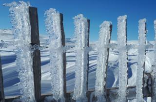 ice