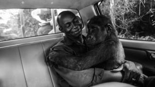 Pikin and Appolinaire