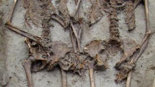Skeletons