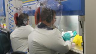 CSIRO scientists at work in the lab testing the virus vaccines