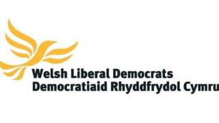 Logo Dem Rhydd