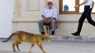 kişi