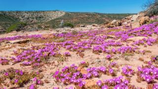 Calbarri National Park
