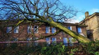 Fire and rescue crews were called when a large tree fell onto a hotel in Moorgate, Rotherham