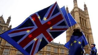 Pro-Remain protest outside Houses of Parliament