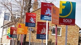 Row of estate agent signs