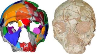 Neanderthal