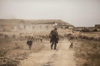 Go home - by Viktoriia Moskalenko (Ukraine)