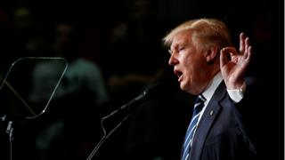 Избранный президент США Дональд Трамп