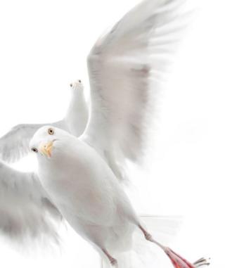 Ekaterina Bee WPY