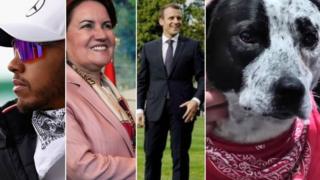 Hamilton, Aksener, Macron