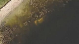 Google Earth