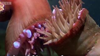 Underwater fight club