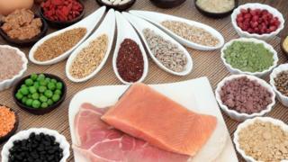 makanan protein