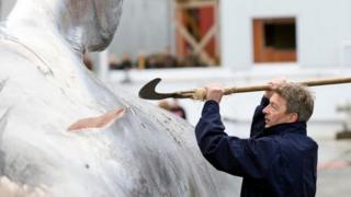 Caza de ballenas en Islandia