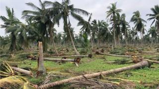 Gaja cyclone