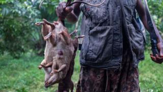 Man wey hold bush rats.