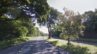 The A31