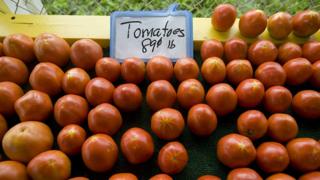 Tomates rojos