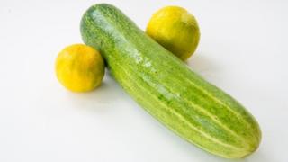 Cucumber