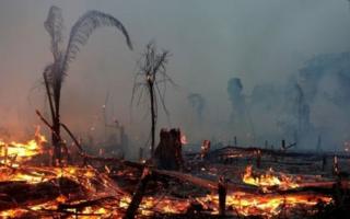 Moro precisa liderar 'resposta enérgica' à criminalidade na Amazônia, cobra Human Rights Watch Moro precisa liderar 'resposta enérgica' à criminalidade na Amazônia, cobra Human Rights Watch