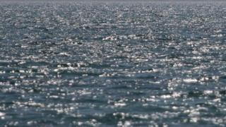 море