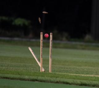 Taken during a 20/20 cricket match between Horspath and Oxford