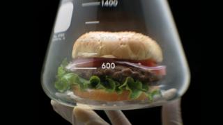 Burgers have been created in science laboratories