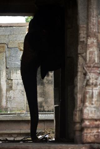 `ஹம்பி`- நிஜ பாகுபலி நகரம்: வீழ்ந்த ஒரு பேரரசின் கதை