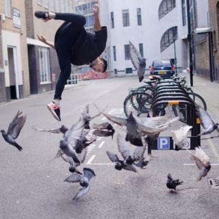 Freerunner behind pigeons