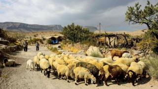 Maymand mağara köyü, İran
